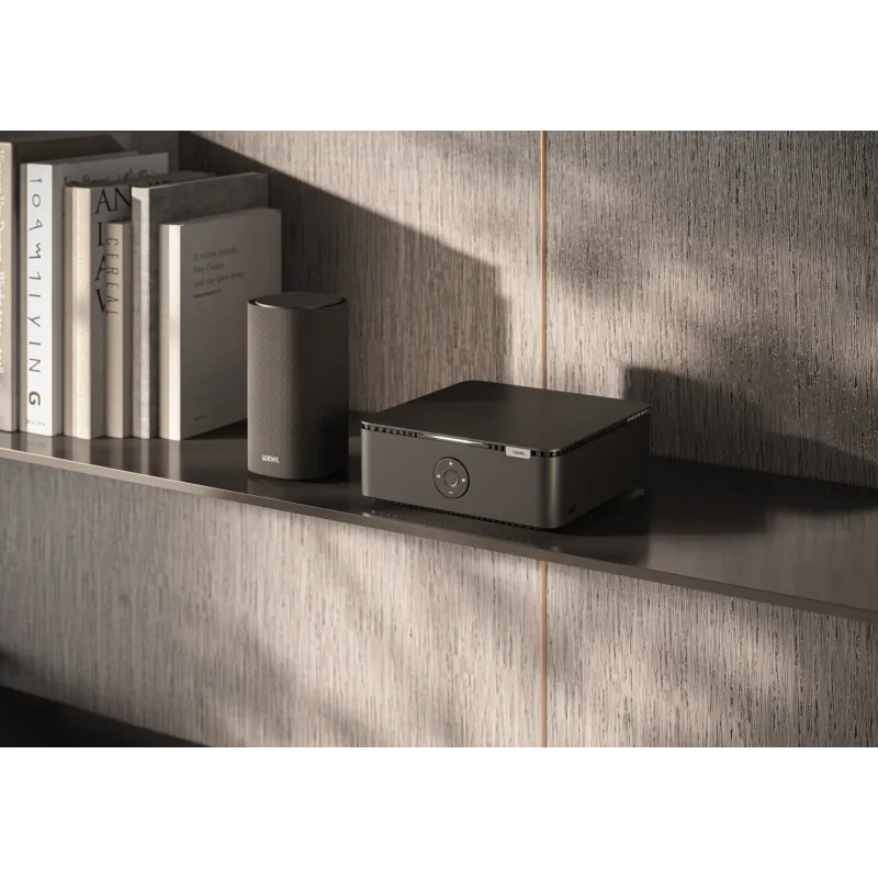LOEWE MULTIROOM.AMP