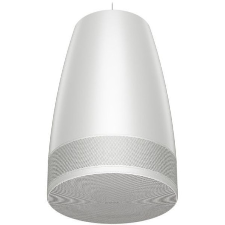 BOSE PRO DesignMax Luna Altavoz