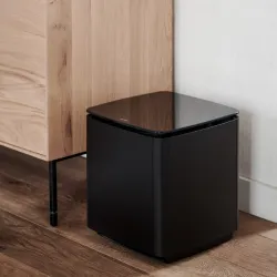 BOSE Bass Module 700 Subwoofer