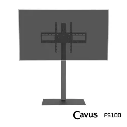 CAVUS FS100
