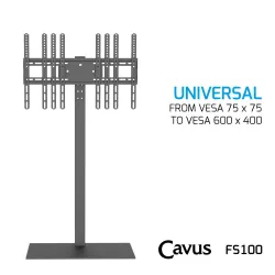 CAVUS FS100