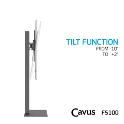 CAVUS FS100