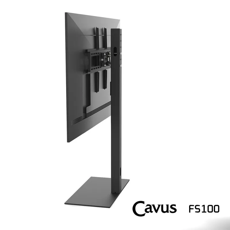 CAVUS FS100