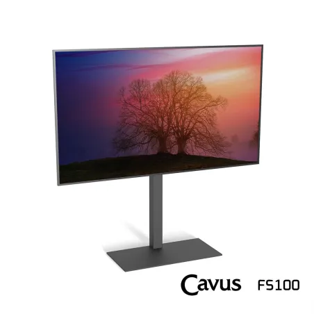 CAVUS FS100