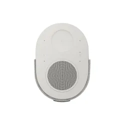BOSE LIFESTYLE ULTRA SPEAKER