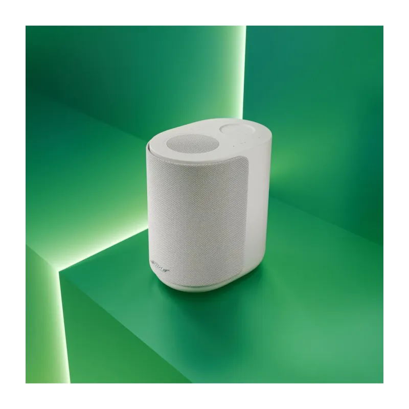 BOSE LIFESTYLE ULTRA SPEAKER