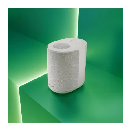 BOSE LIFESTYLE ULTRA SPEAKER