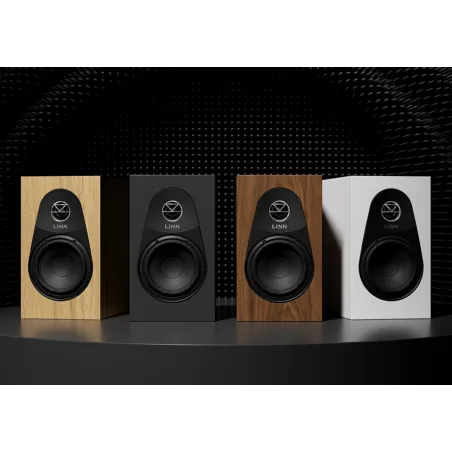 Linn 119