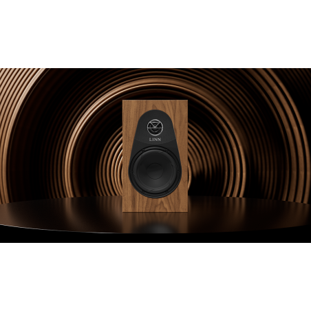 LINN 119