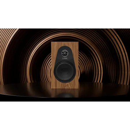 LINN 119