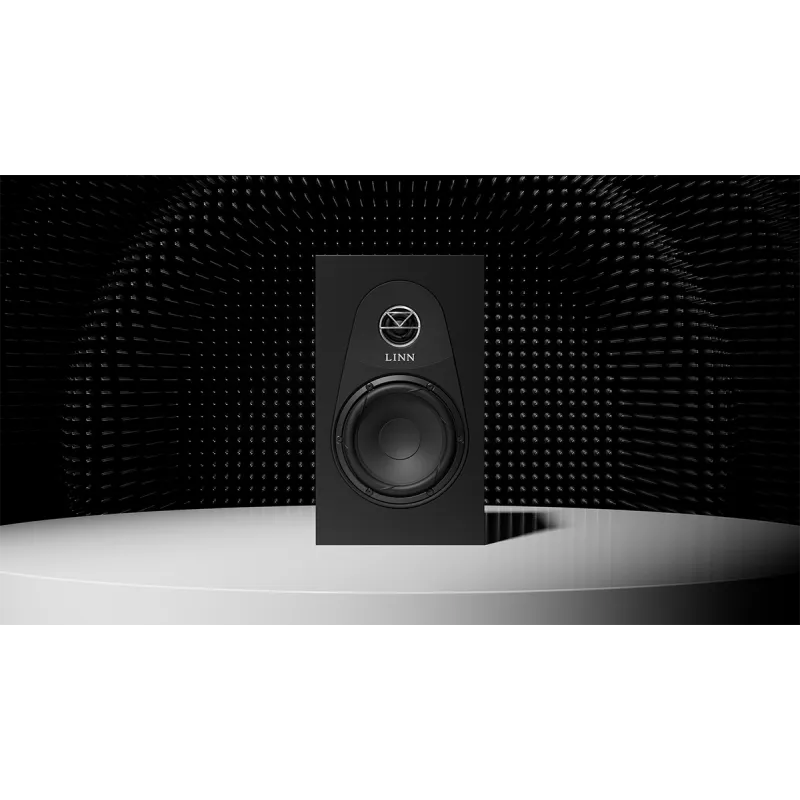 LINN 119